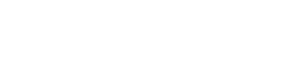 Hachiko - Battery Optimisation and Portfolio Management